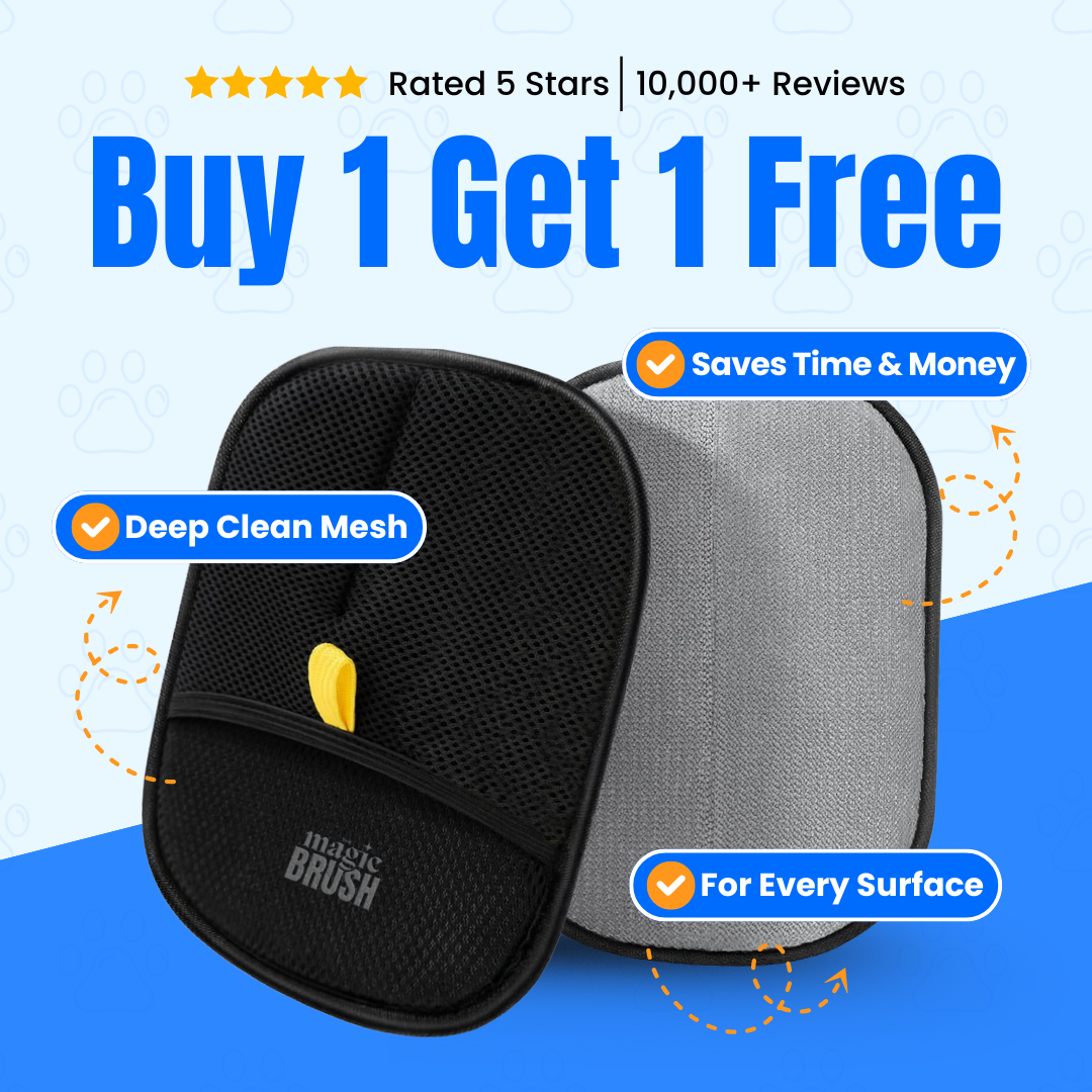 The Magic Pet Hair Lifting Glove