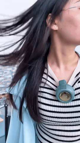 BreezeBuddy Clip Fan