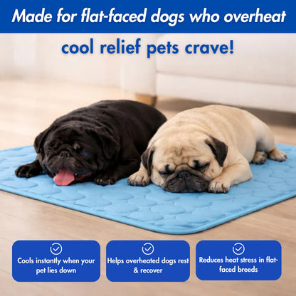 ChillPaws Cooling Pet Comfort Bed