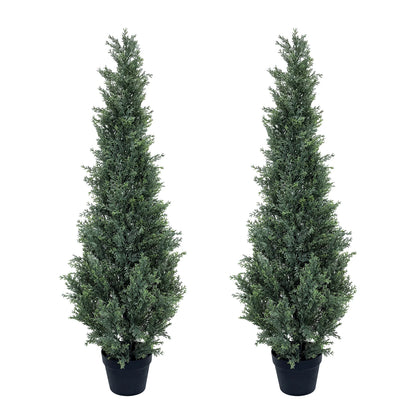 Evergreen Outdoor Cedar Trees