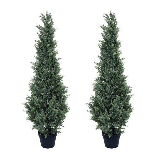 Evergreen Outdoor Cedar Trees