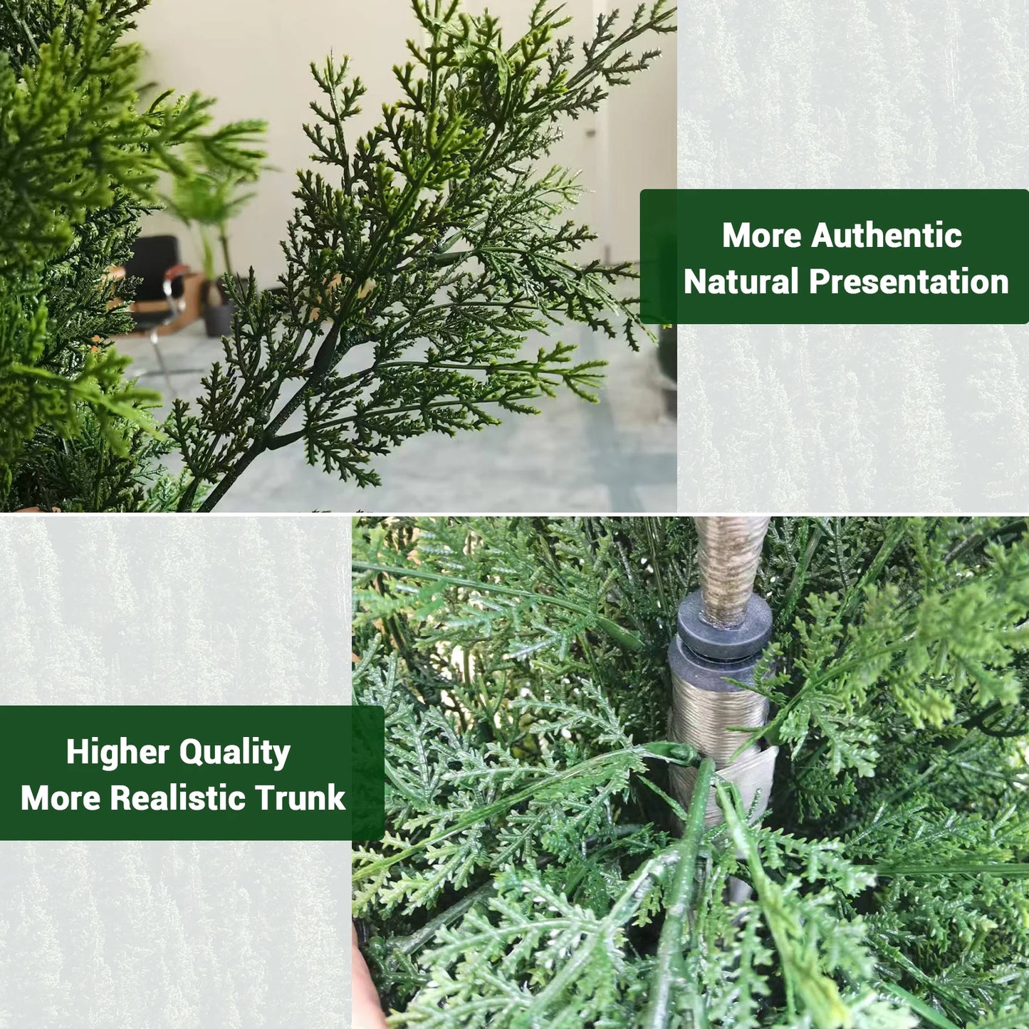 Evergreen Outdoor Cedar Trees